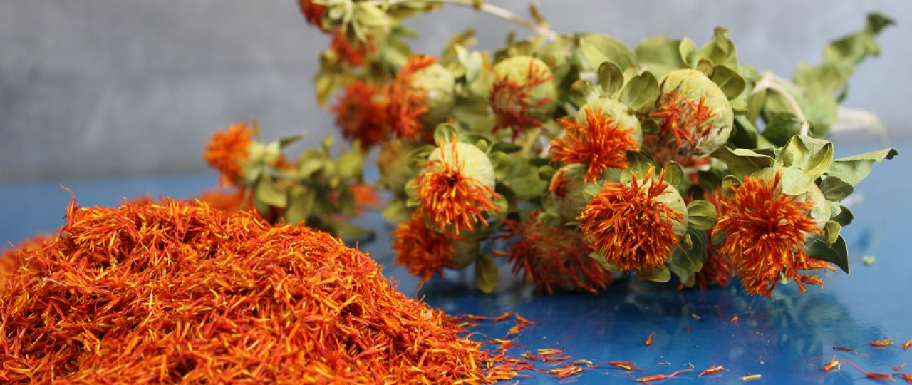 Safflower – A Golden Plant for Health and Business