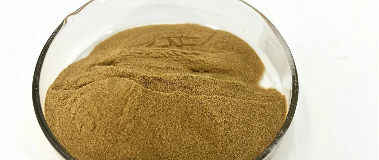 Spray Dried Powder Licorice Extract – A Cutting-Edge Natural Product
